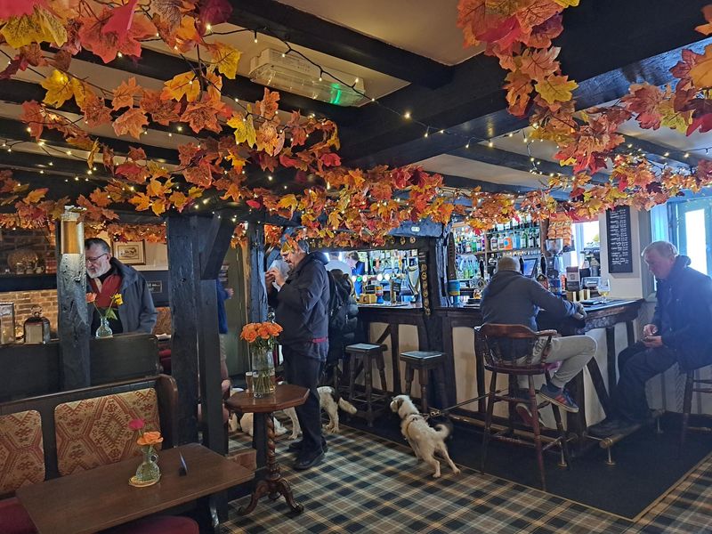 Published on 15-04-2026 