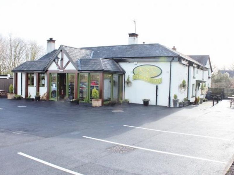 Pesto at Cabbage Hall Good Beer Guide App