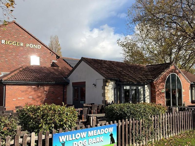 Published on 26-10-2025