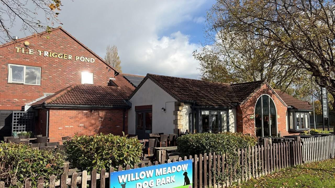 Published on 26-10-2025