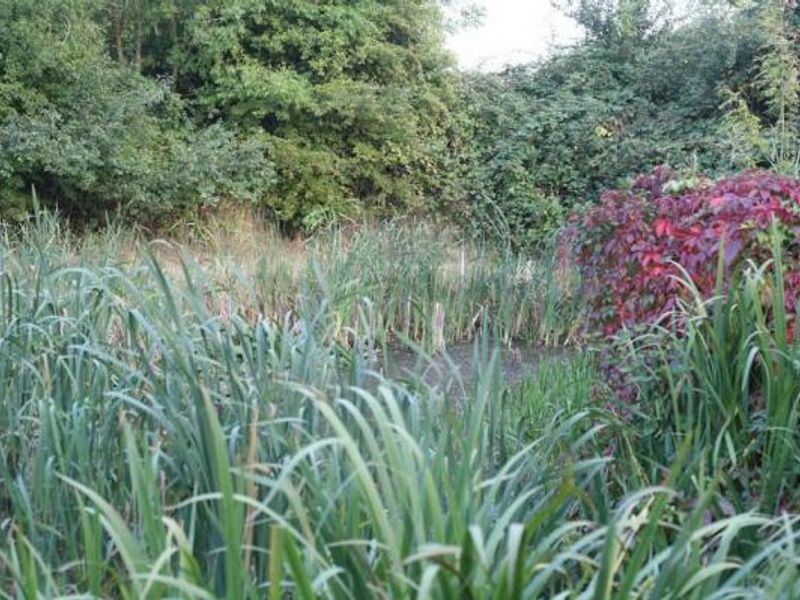 (Garden). Published on 06-01-2014
