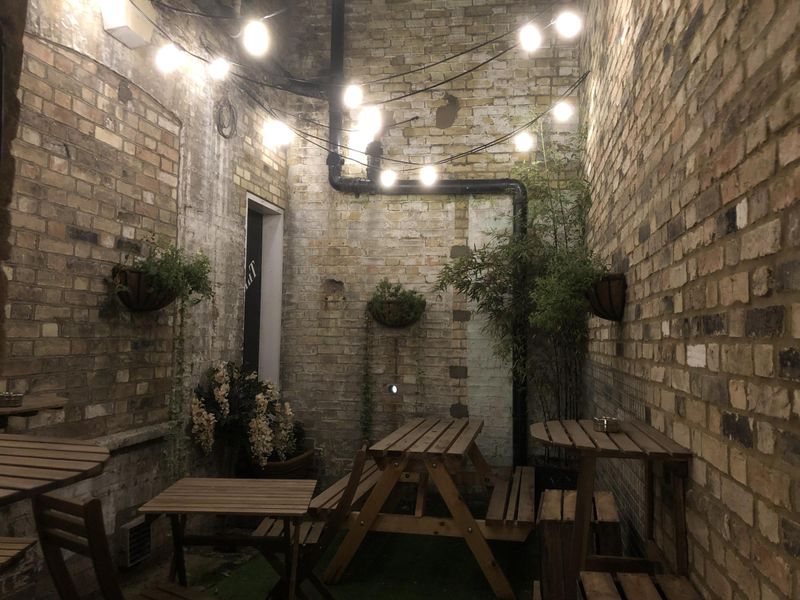 Courtyard garden. November 2022.. (Garden). Published on 17-11-2022 