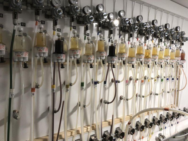 Cellarside view of the tap wall. May 2024. Published on 09-05-2024