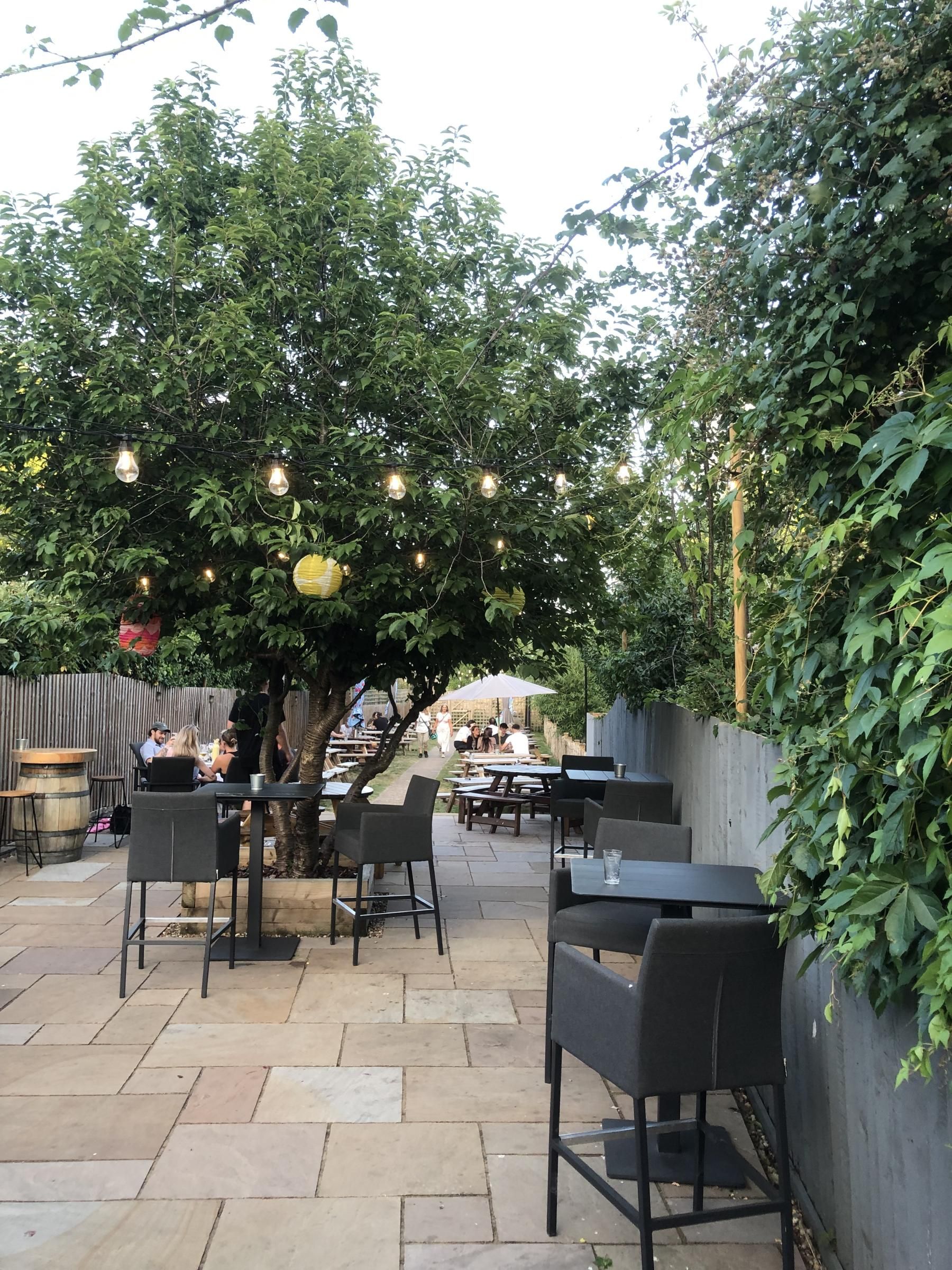 Rear patio and garden. July 2026. (Garden). Published on 12-07-2026