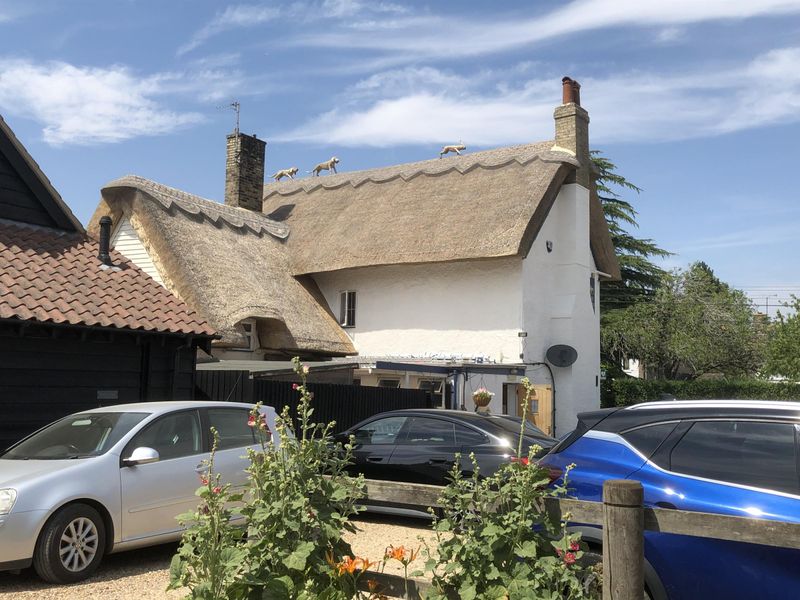 New thatch. 2026. Published on 09-07-2026 