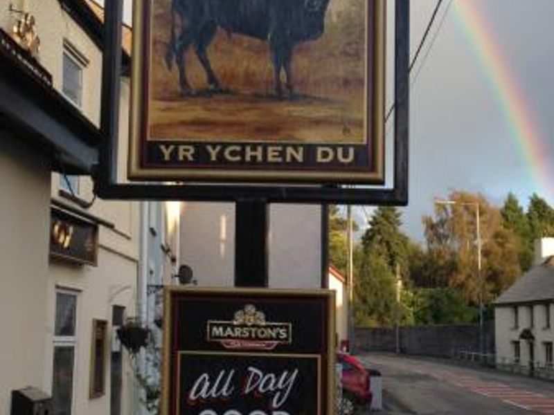 Black Ox / Ychen du  -  pub sign. (Sign). Published on 28-10-2013