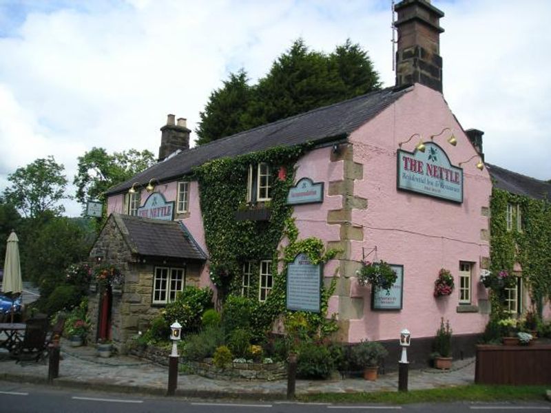 Nettle. (Pub). Published on 16-08-2013