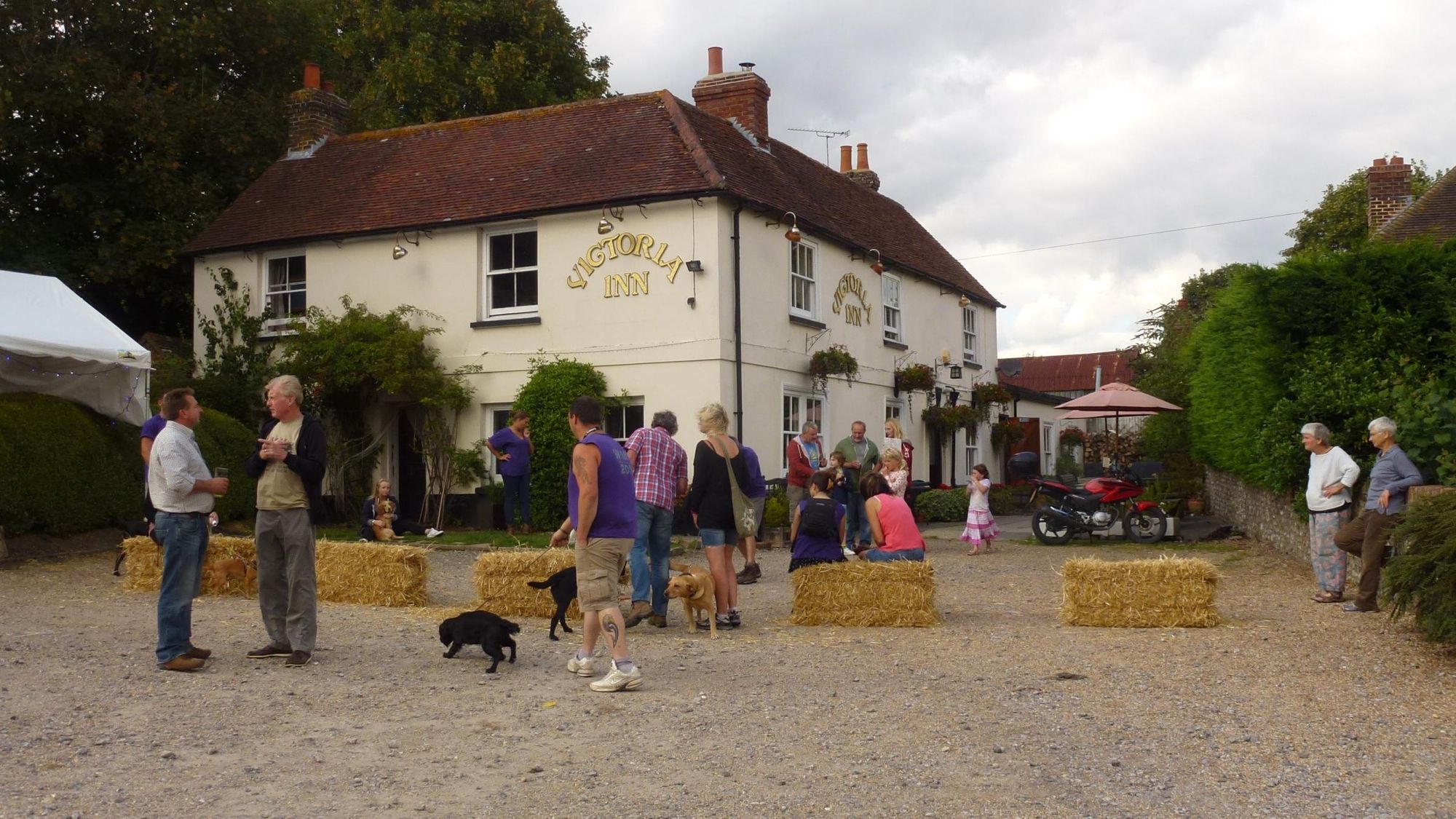 Fun Dog Show at Summer Festival. (Pub, Festival, External, Garden, Customers). Published on 26-01-2018