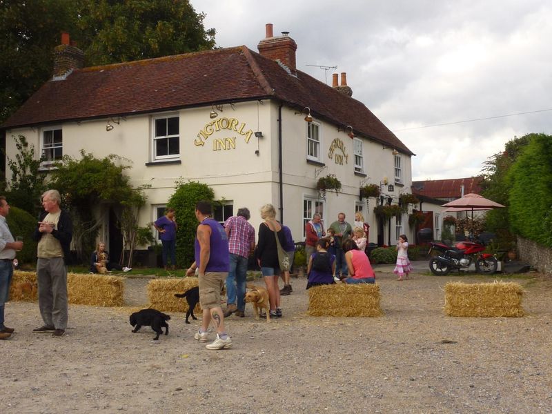 Fun Dog Show at Summer Festival. (Pub, Festival, External, Garden, Customers). Published on 26-01-2018