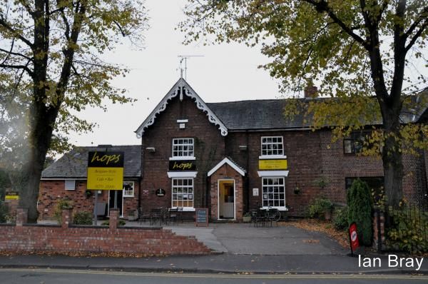 Hops, seen from Prince Albert Street.. (External, Key). Published on 19-06-2015