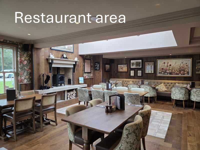 Published on 12-02-2026 