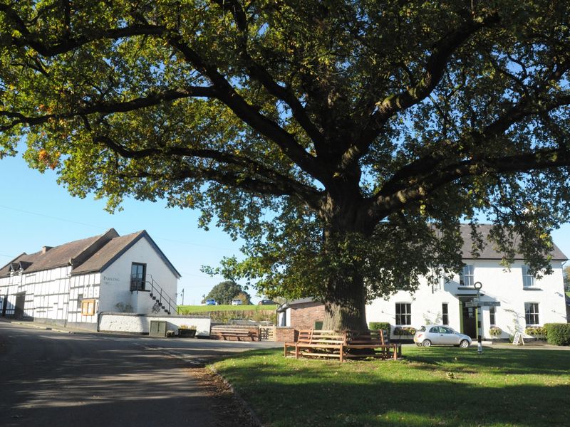 Panoramic view from Hollins Lane. Published on 20-10-2018