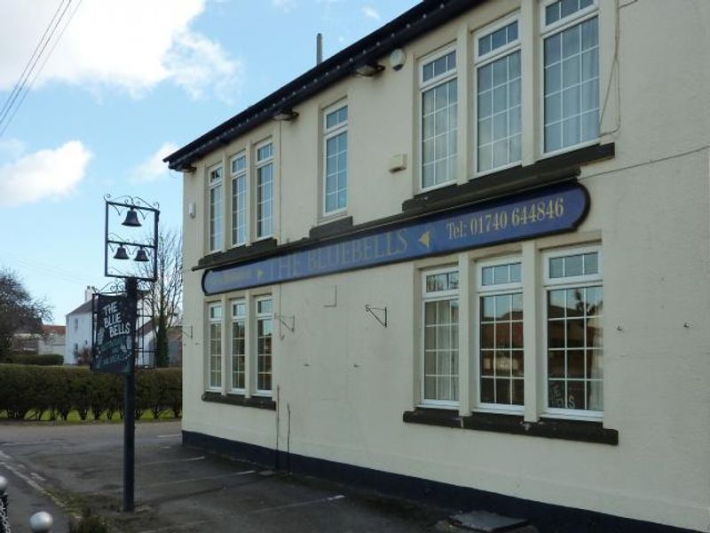 Blue Bells at Newton Bewley. (Pub, External). Published on 01-01-1970