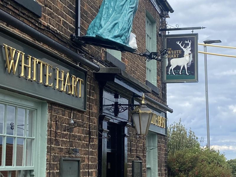 Published on 29-03-2026 