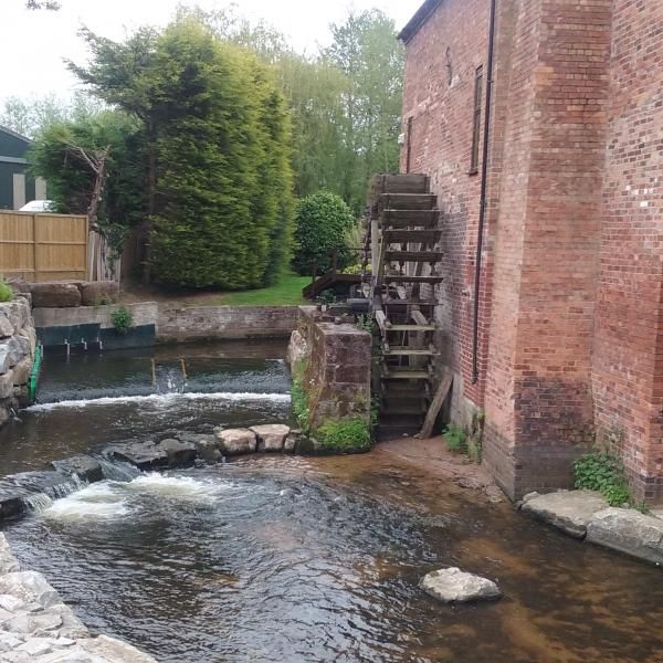 Garden and waterwheel. (Garden). Published on 25-05-2015