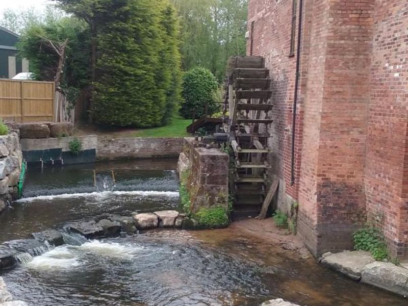 Garden and waterwheel. (Garden). Published on 25-05-2015