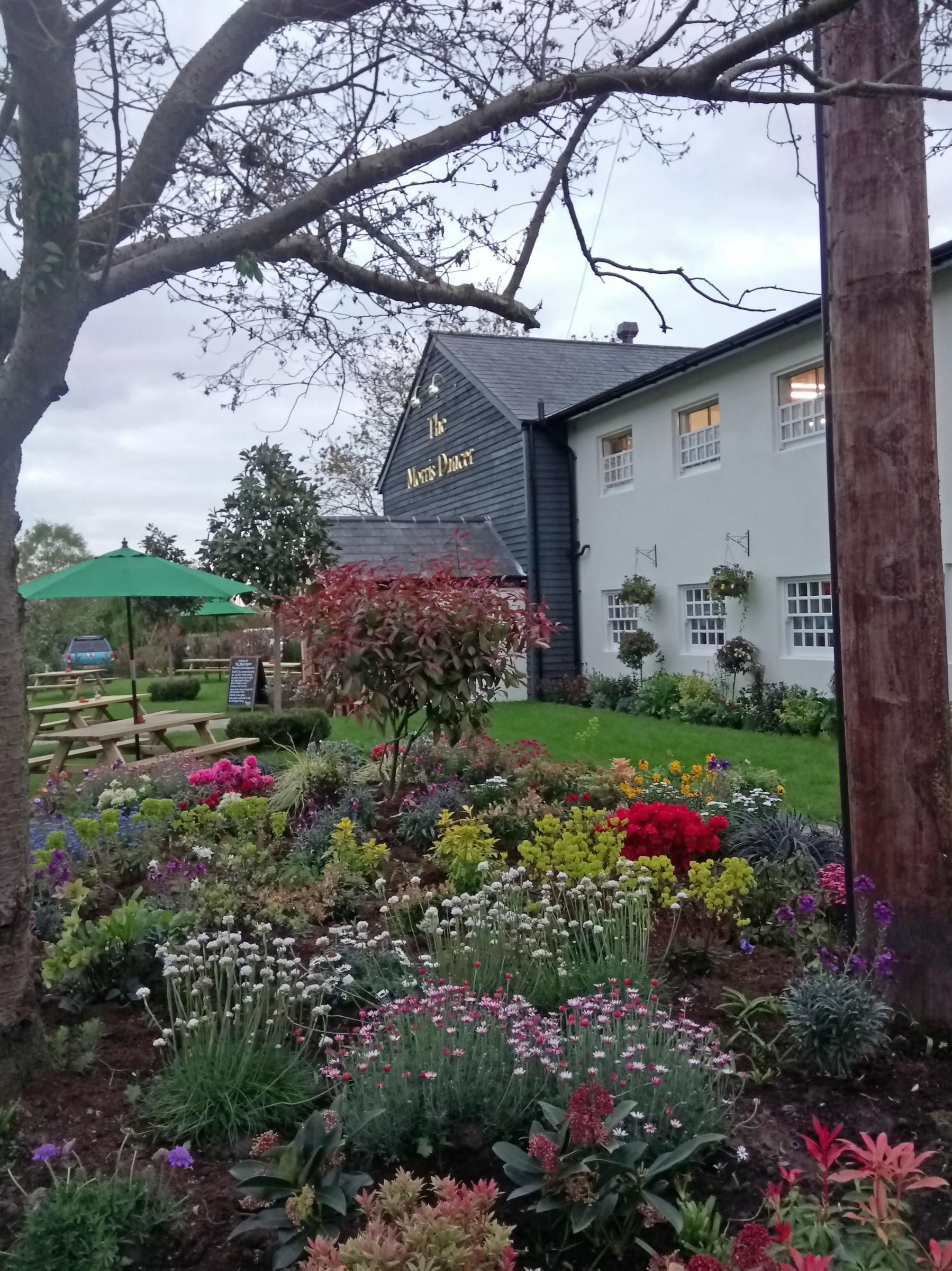 (Garden). Published on 08-05-2018