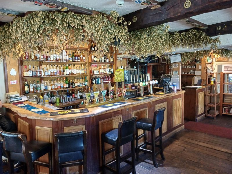 Hops decorating the bar (12/07/2025 Adrian Smith). (Pub, Bar). Published on 01-08-2025 