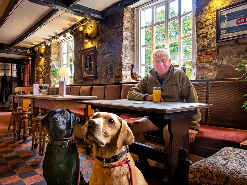 Dog Friendly. Published on 24-03-2025 