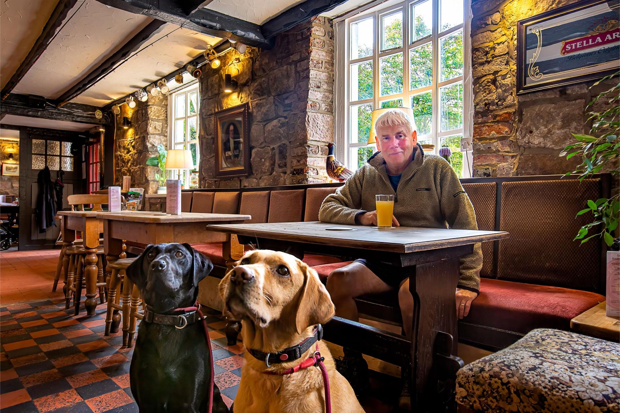 Dog Friendly. Published on 24-03-2025