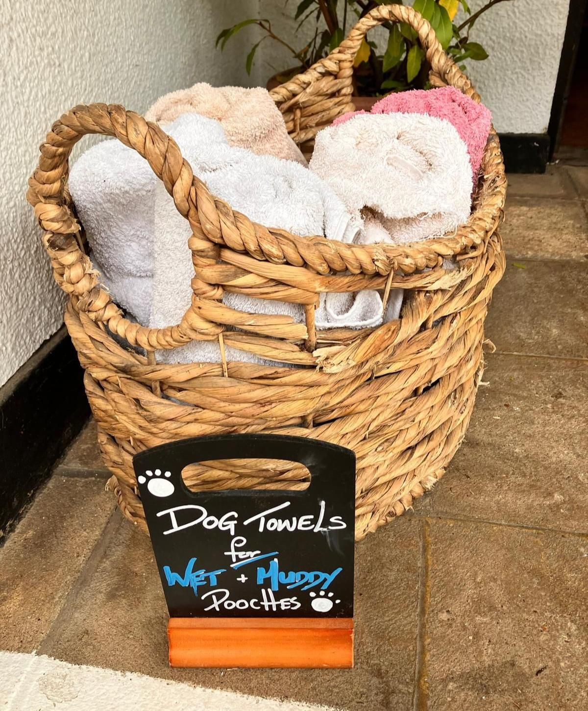 Dog towels. Published on 03-10-2025