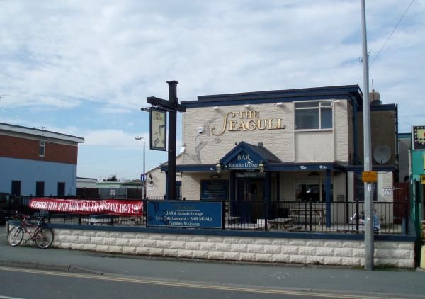 Seagull. (Pub, External). Published on 27-03-2014