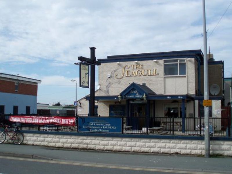 Seagull. (Pub, External). Published on 27-03-2014