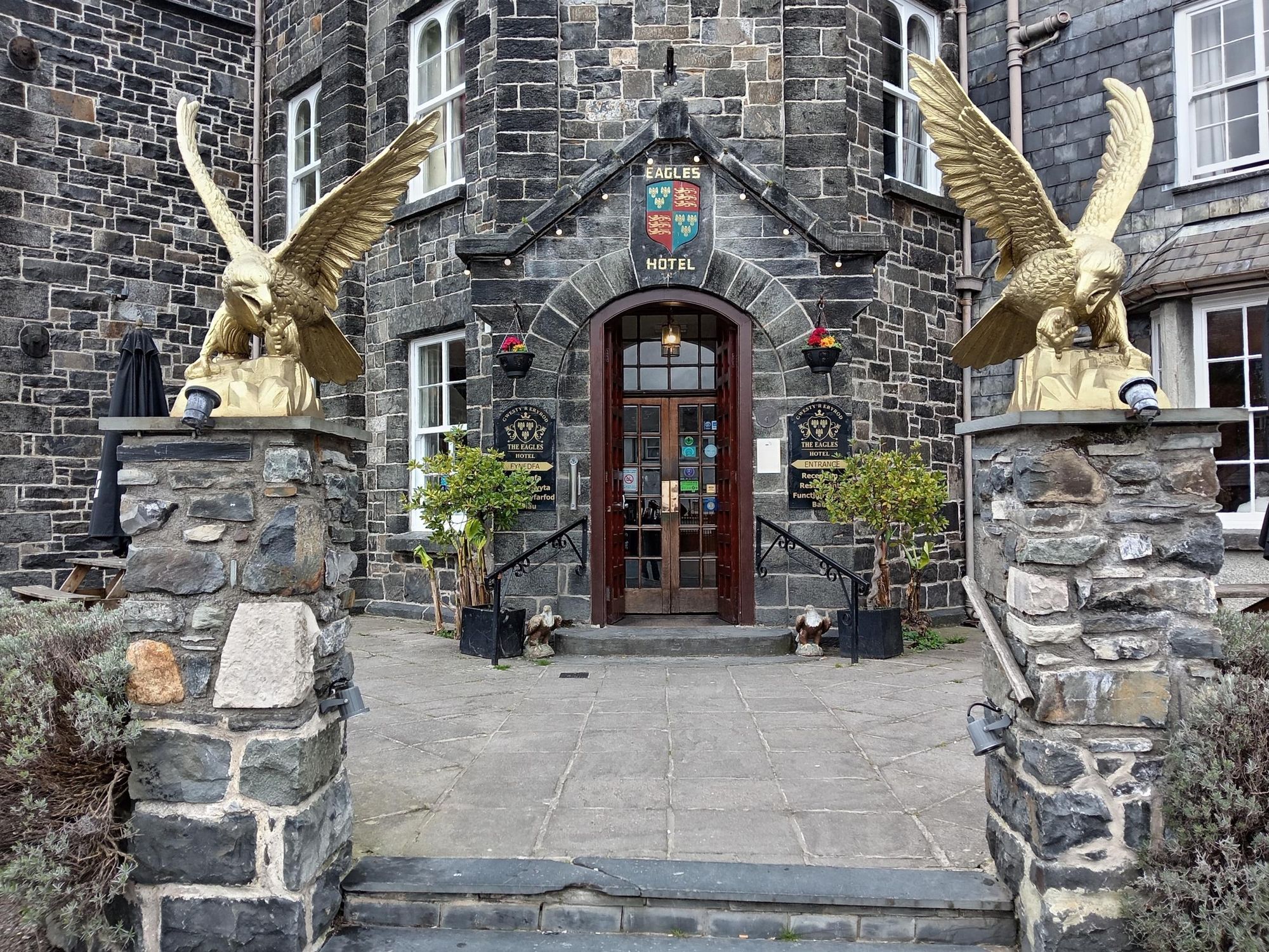 Eagles Entrance 2025. (Pub, External). Published on 25-03-2025