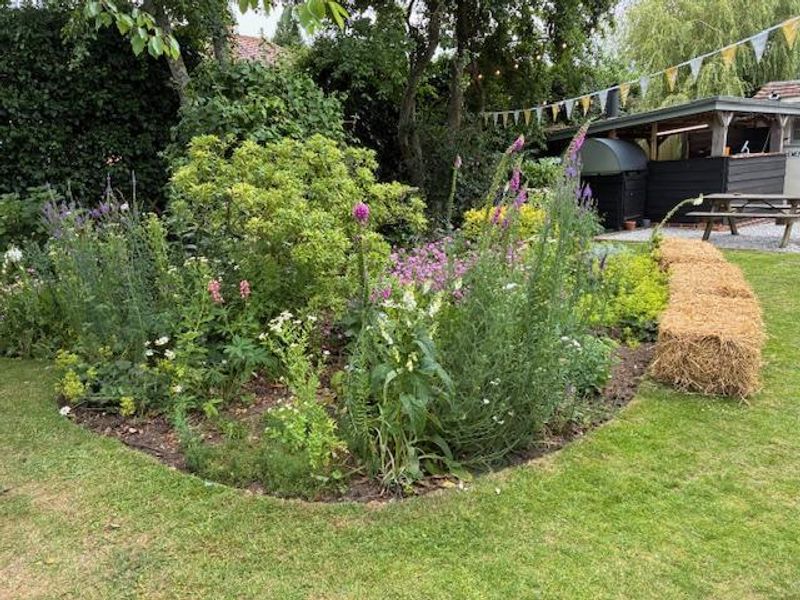 (External, Garden). Published on 22-06-2025