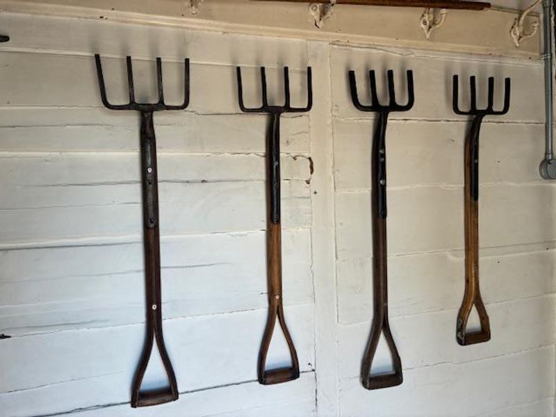 Published on 09-12-2025 