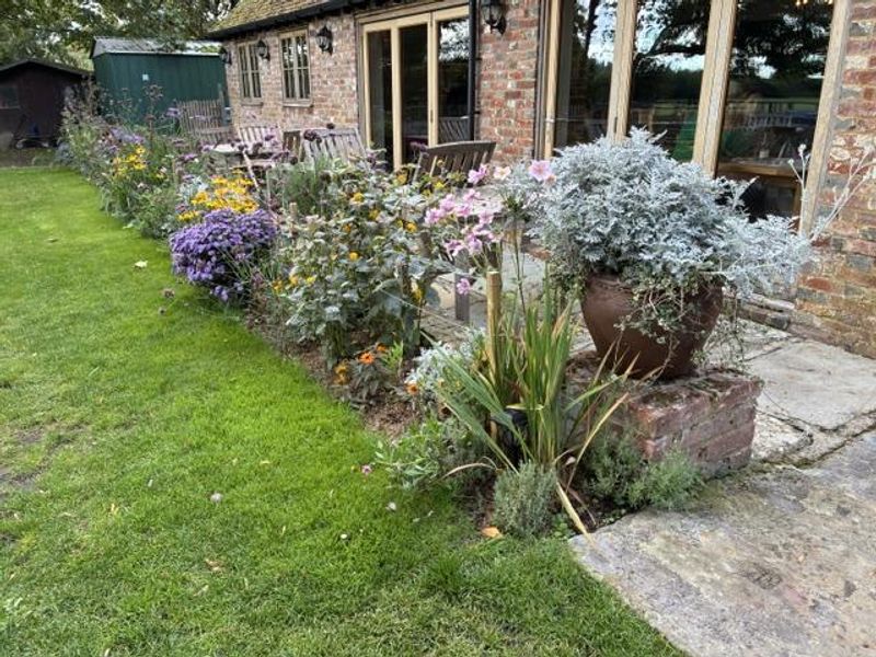 (Garden). Published on 20-10-2026