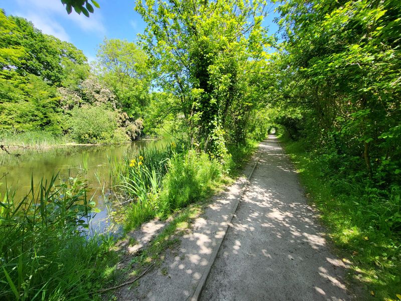 Canal path adjacent. (Garden). Published on 11-06-2023