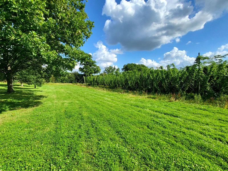 Hukins hop gardens. Published on 09-08-2023