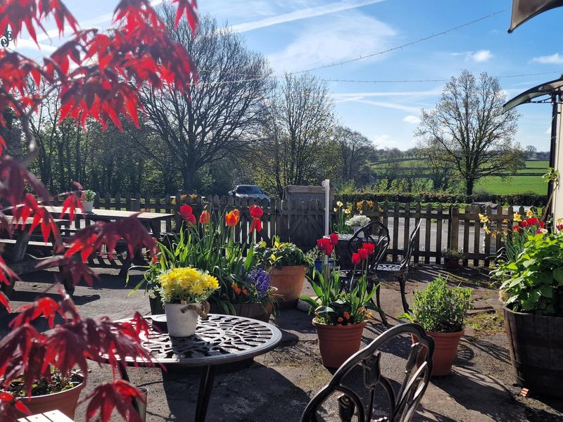 April 2025. (Garden). Published on 26-04-2025