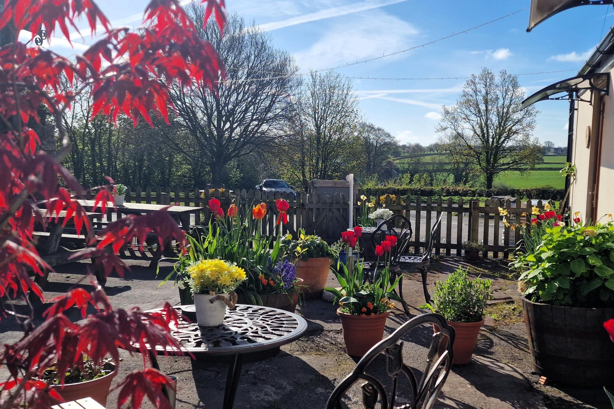 April 2025. (Garden). Published on 26-04-2025