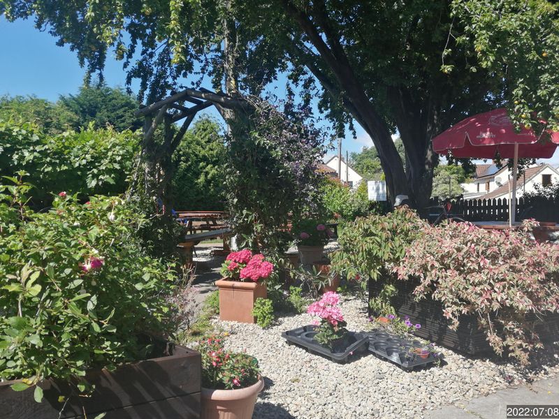 (Garden). Published on 25-04-2023