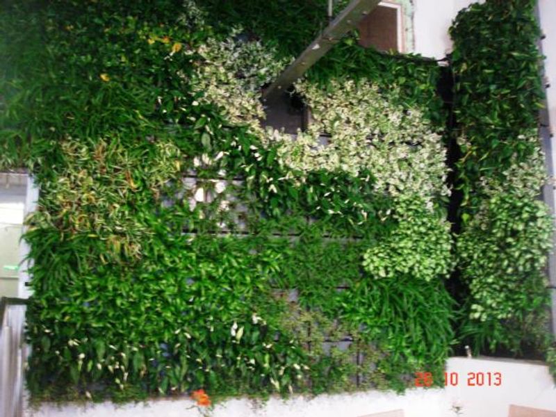 The Living Wall - October 2013. (Bar). Published on 29-10-2013