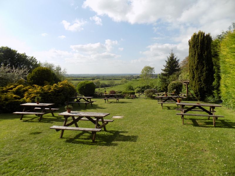 Beer garden view. (External, Garden). Published on 17-08-2017