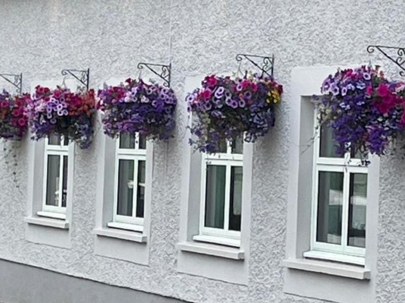 Fallen Goat, Brodick. (Pub, External). Published on 26-08-2024