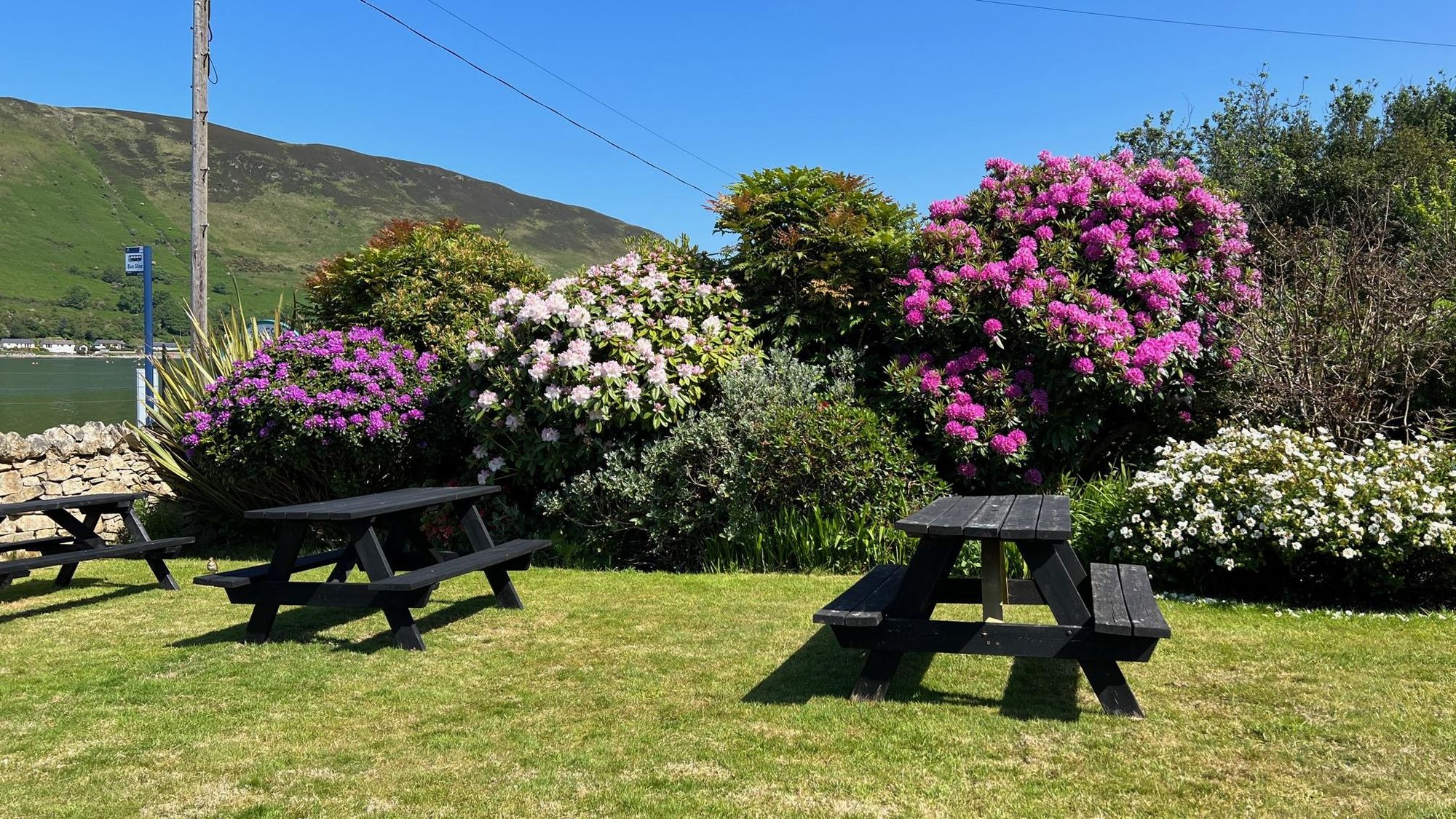 Lochranza Country Inn. (Pub, External, Garden). Published on 13-07-2023