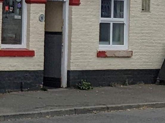 Mobility Level Access at the entrance. (External). Published on 24-01-2026