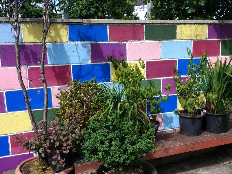 Patio Area. (Garden). Published on 25-06-2017 