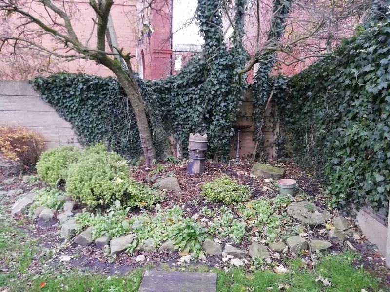 Patio Area. (Garden). Published on 11-11-2018 