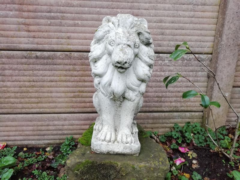 Grrrrrh!. Published on 11-11-2018 
