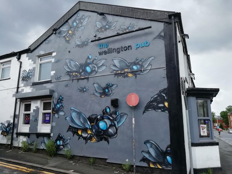 Wall Painting in 2019 now removed. Published on 04-08-2019