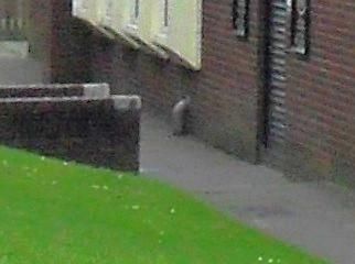 Mobility Access with deep step at the entrance. (External). Published on 28-01-2026