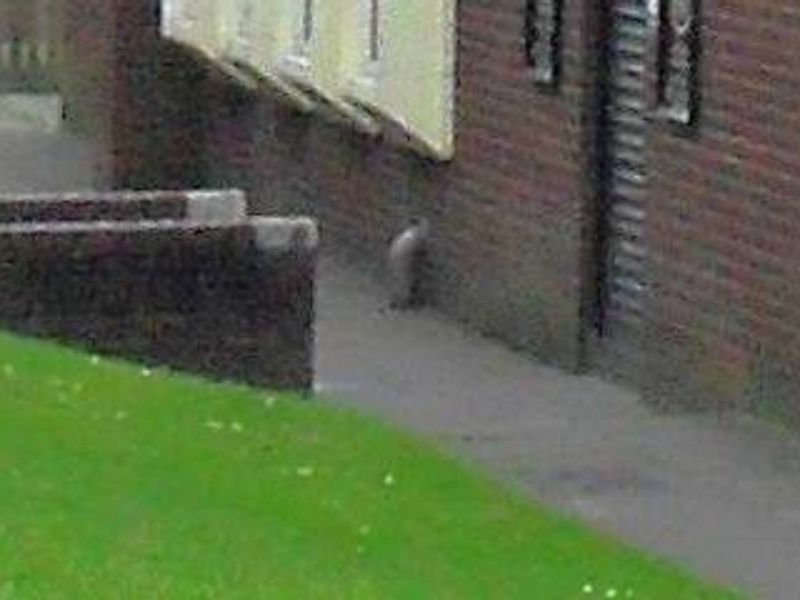 Mobility Access with deep step at the entrance. (External). Published on 28-01-2026 