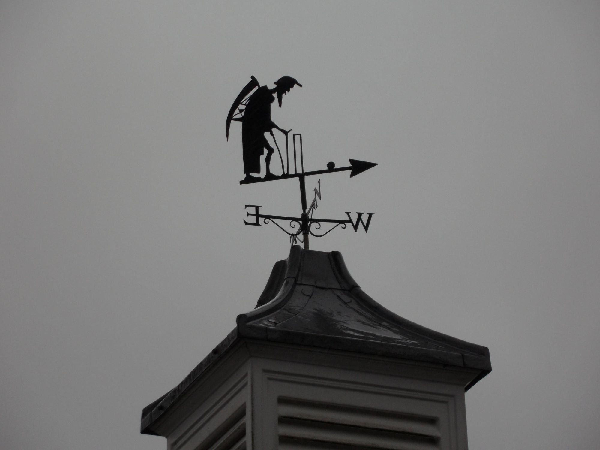 Grim Reaper likes cricket. Published on 19-10-2016