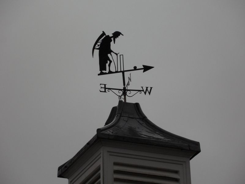 Grim Reaper likes cricket. Published on 19-10-2016