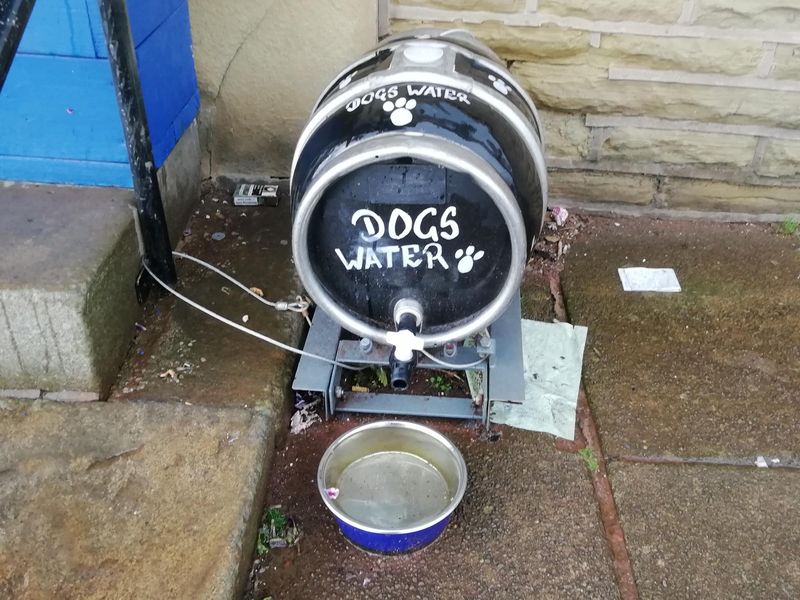 Cask Dog Water. Published on 13-08-2019 